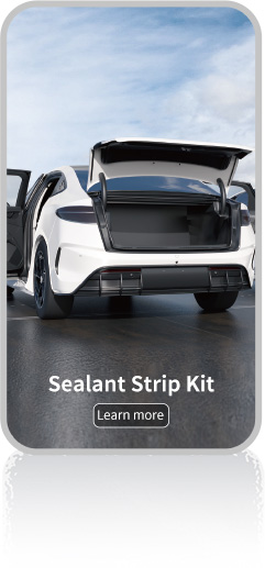 Sealing Kit